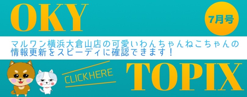 【 OKURAYAMA トピックス7月版 】マルワン大倉山店の7月の情報配信を確認！