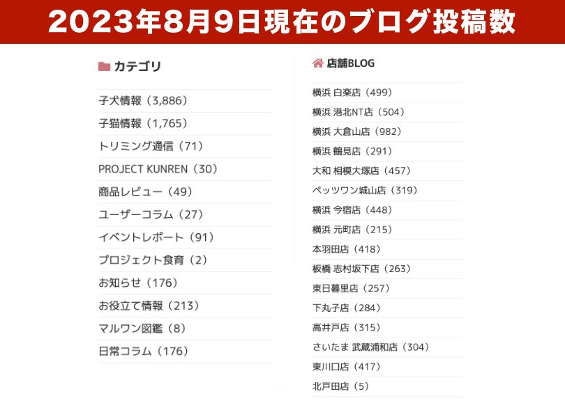 業界ナンバーワンと言っても過言ではないスタッフによるブログ情報配信サービス | 一緒に育てるがコンセプトのマルワンの特徴やオリジナルサービスをご紹介。