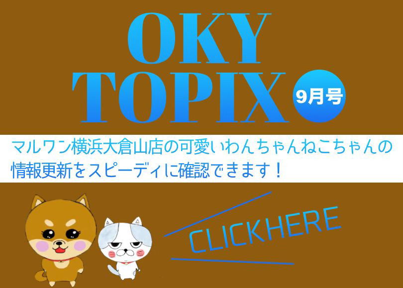 【 OKURAYAMA トピックス9月版 】マルワン大倉山店の9月の情報配信を確認！