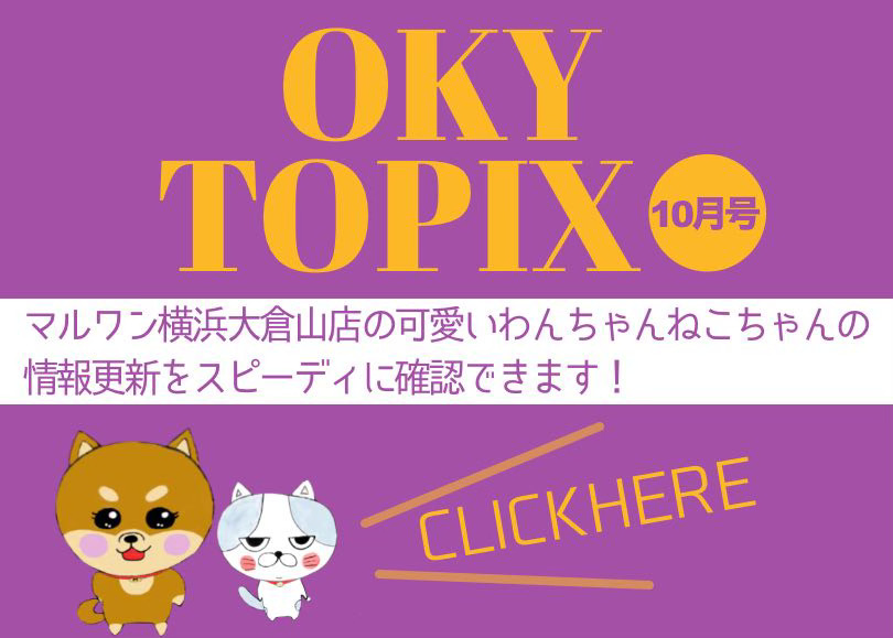 【 OKURAYAMA トピックス10月版 】マルワン大倉山店の10月の情報配信を確認！