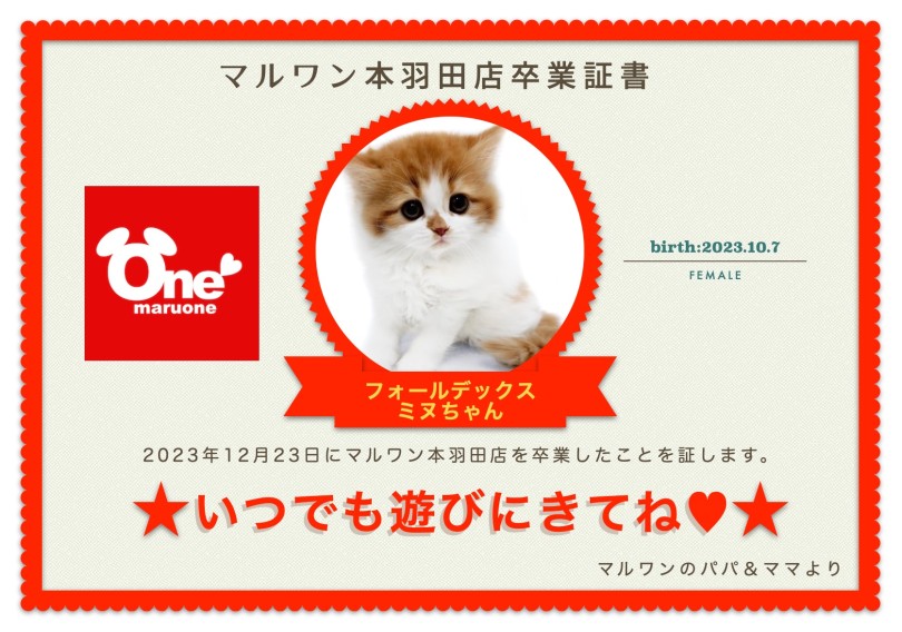 【 卒業記念 】フォールデックスちゃん卒業おめでとう!お名前「ミヌ」ちゃんに決定!