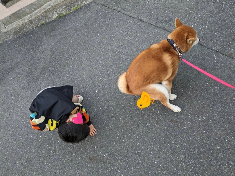 お世話にお休みはないよ！ | お子様がいるご家庭でペットちゃんをお迎えする前のお約束！ - 横浜 大倉山店