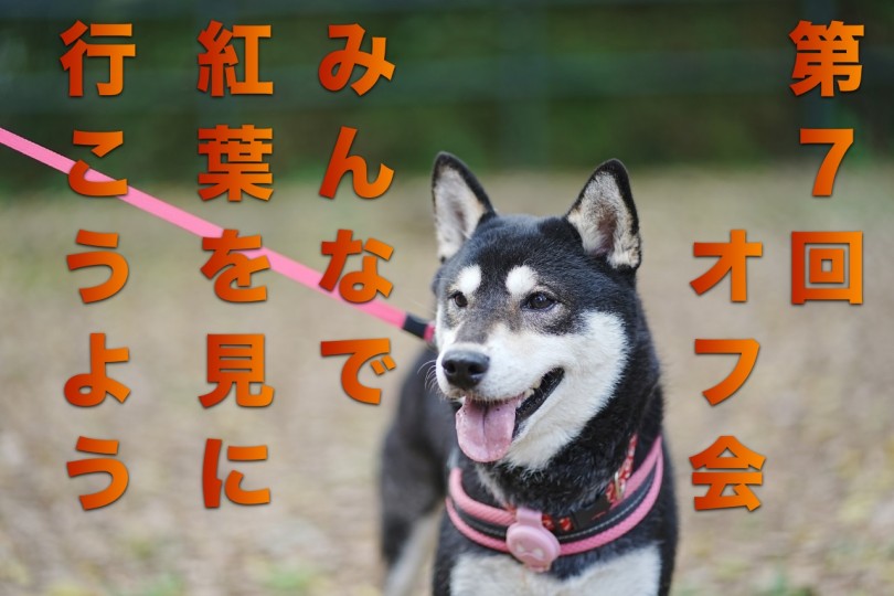 【 オフ会 】5ヶ月ぶりの開催！紅葉を見にいこうよう！！開催！
