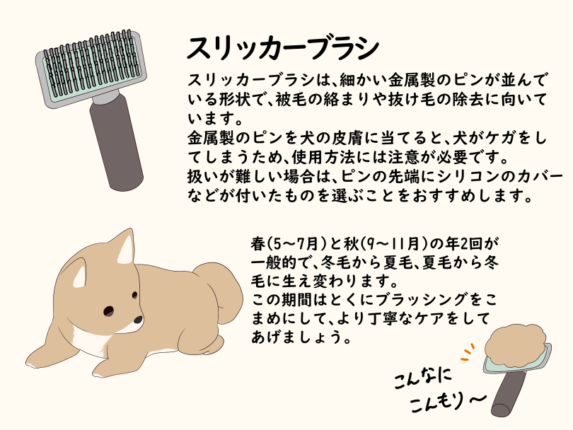 現在換毛期!豆ちゃんのブラッシングでよく使うブラシをご紹介 | 豆柴 (05-122) - 本羽田店