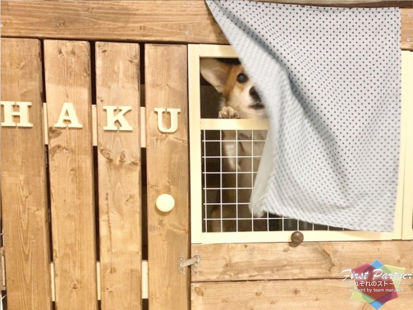 趣味でもありますDIY！ | ファーストパートナー - 横浜 大倉山店