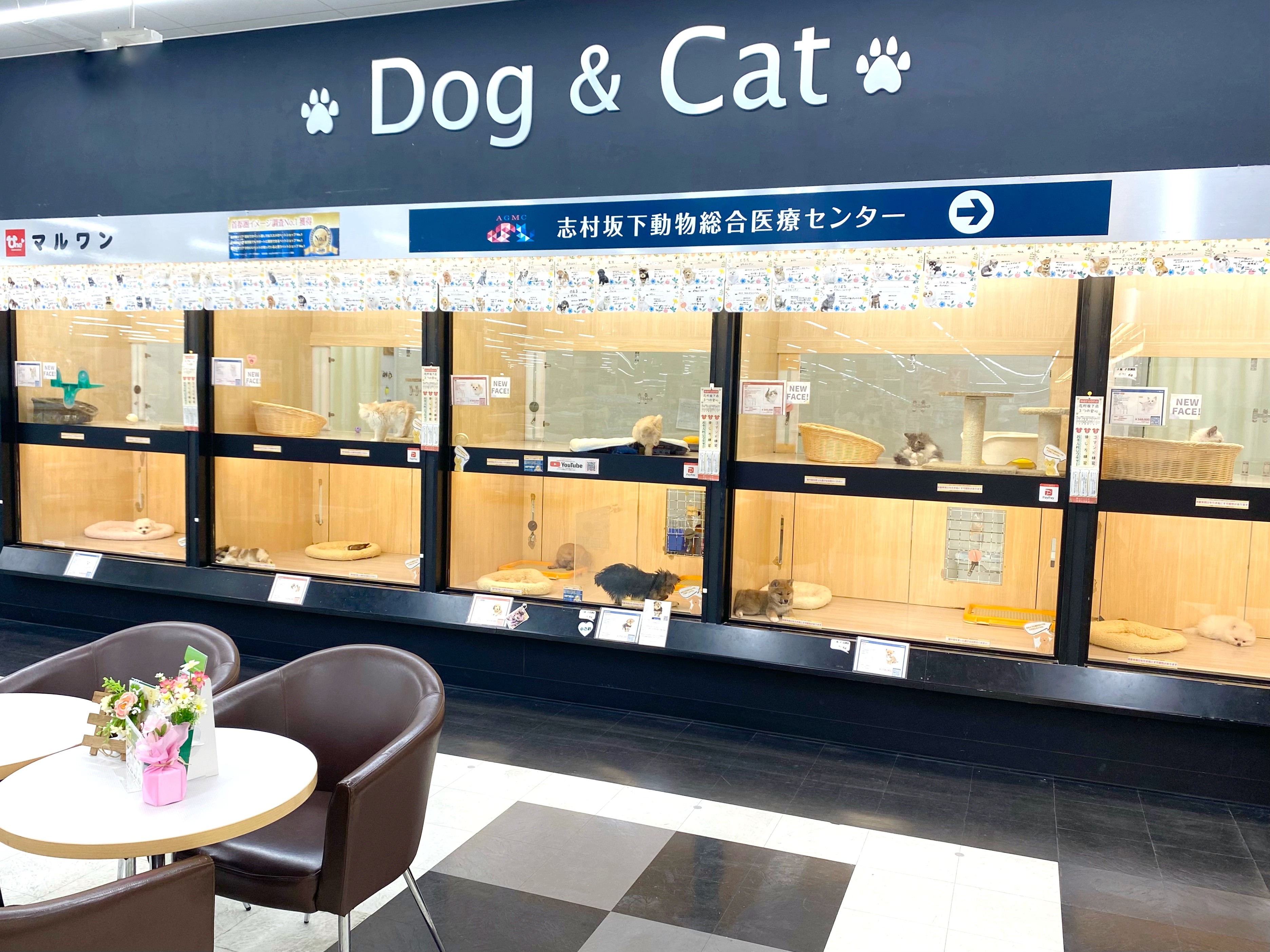 板橋 志村坂下店