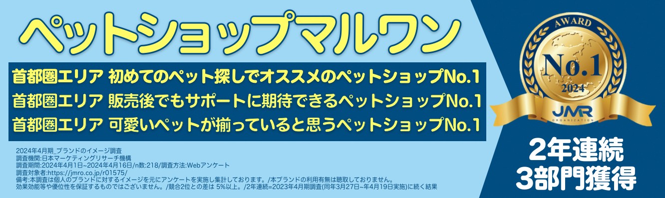 イメージ調査