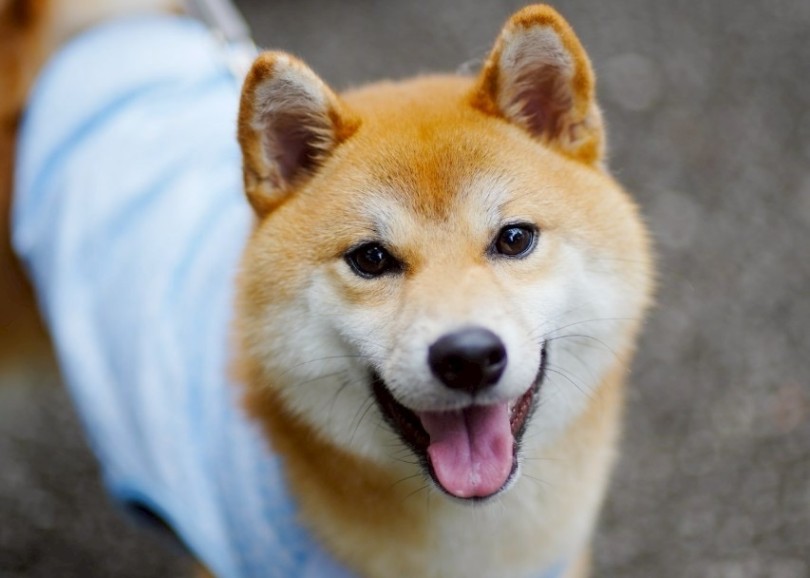 また秋にみんなで会えるのを楽しみにしています | 第10回オフ会レポート！ - 横浜 大倉山店