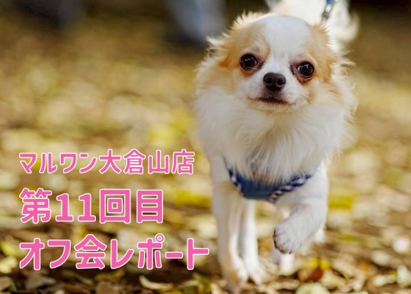 【 オフ会 】過去最多の参加頭数33頭！！11回目のオフ会レポ！