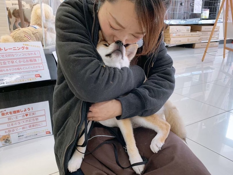 6年前のお店にいた頃のしし丸♡ | 周年祭 - 横浜 大倉山店