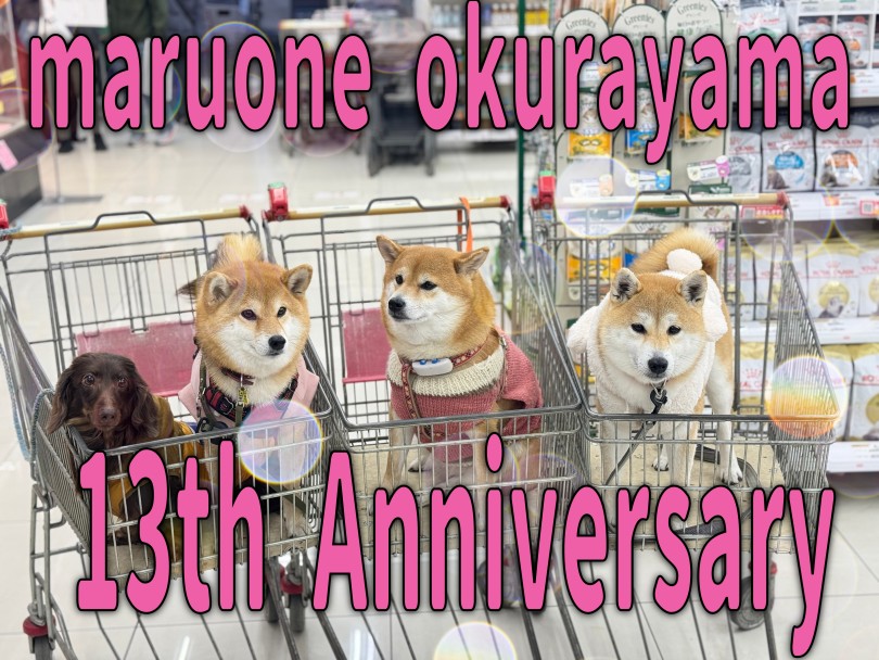 【 周年祭 】総勢38頭がお祝いに駆けつけてくれた大倉山店13歳の誕生日!