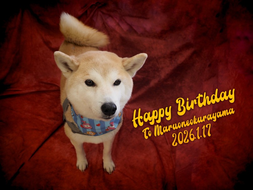 卒業生しし丸ファミリーから嬉しいメッセージ | 周年祭 - 横浜 大倉山店